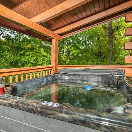 Bear Necessities By Eden Crest Villa Sevierville Exterior photo
